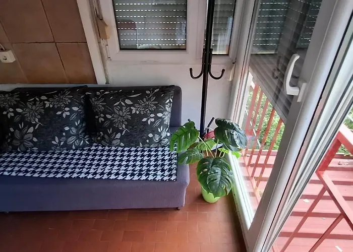 Lea קריקווניצה